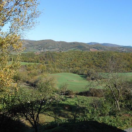 Chambre D'Hotes Des Monts Saint-Izaire 外观 照片