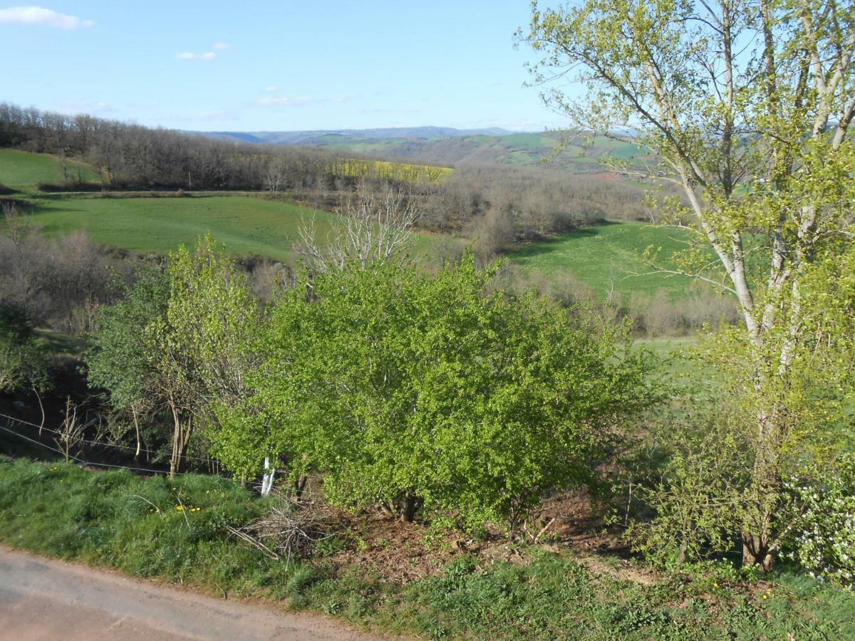 Chambre D'Hotes Des Monts Saint-Izaire 外观 照片