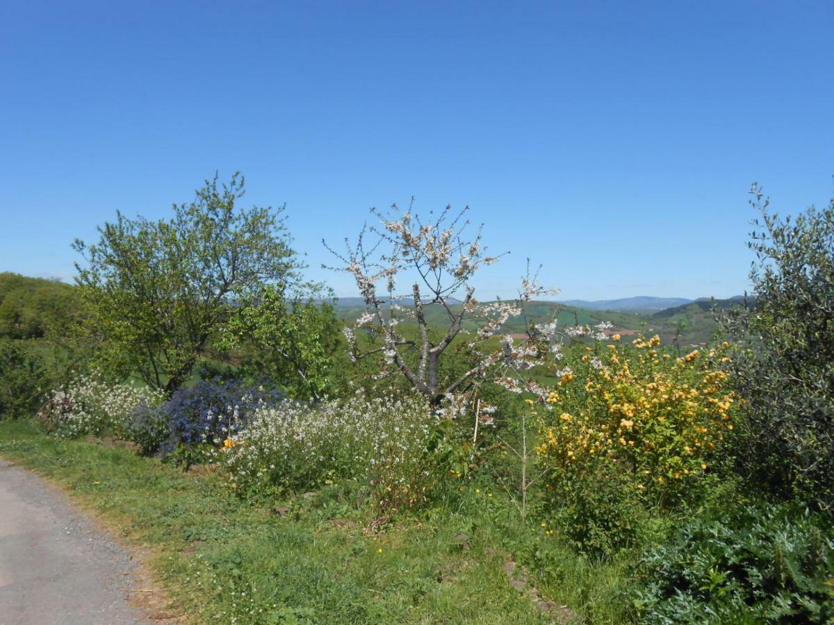 Chambre D'Hotes Des Monts Saint-Izaire 外观 照片
